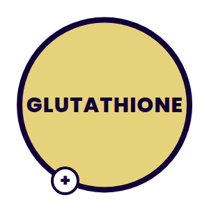 HRT Injection Boost - Glutathione - Add-On - Elite Health HRT - North GA - Alpharetta, GA - Milton, GA - Canton, GA - Roswell, GA