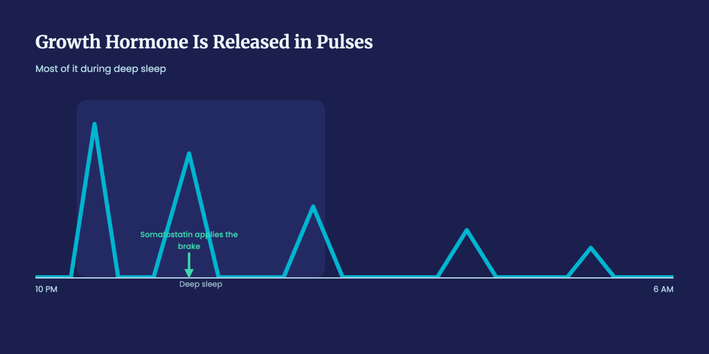 Peptide Cycles - Figure 4 - Resource Center - Elite Health HRT.png